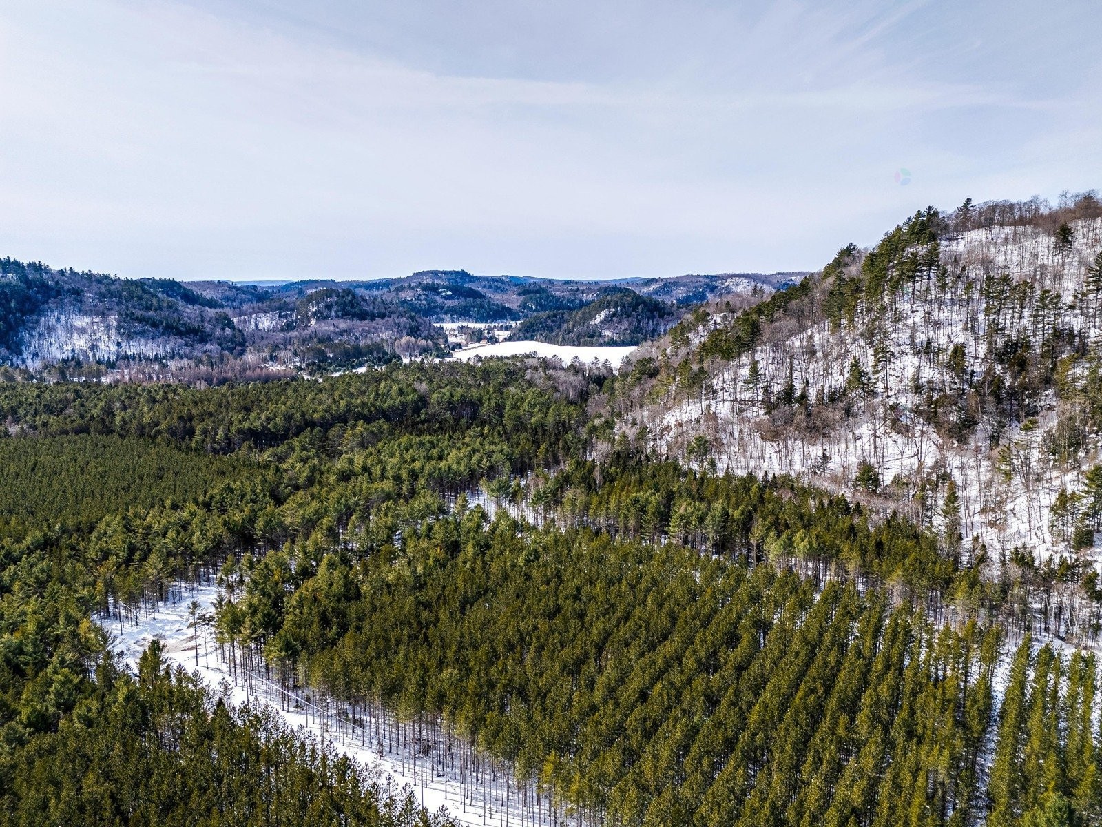 









15


Ch. du Sous-Bois

,
Bowman,




QC
J0X3C0

