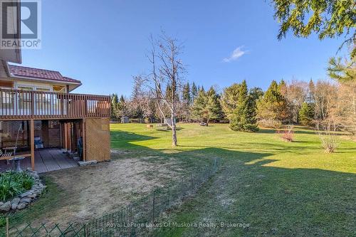 Backyard (view to the North)