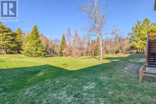 Backyard (view to the North East)