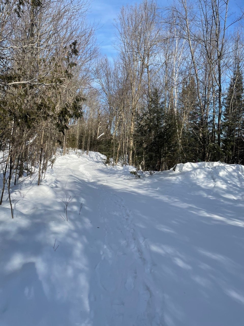 









Z


Route 101

,
Témiscaming,




QC
J0Z3R0


