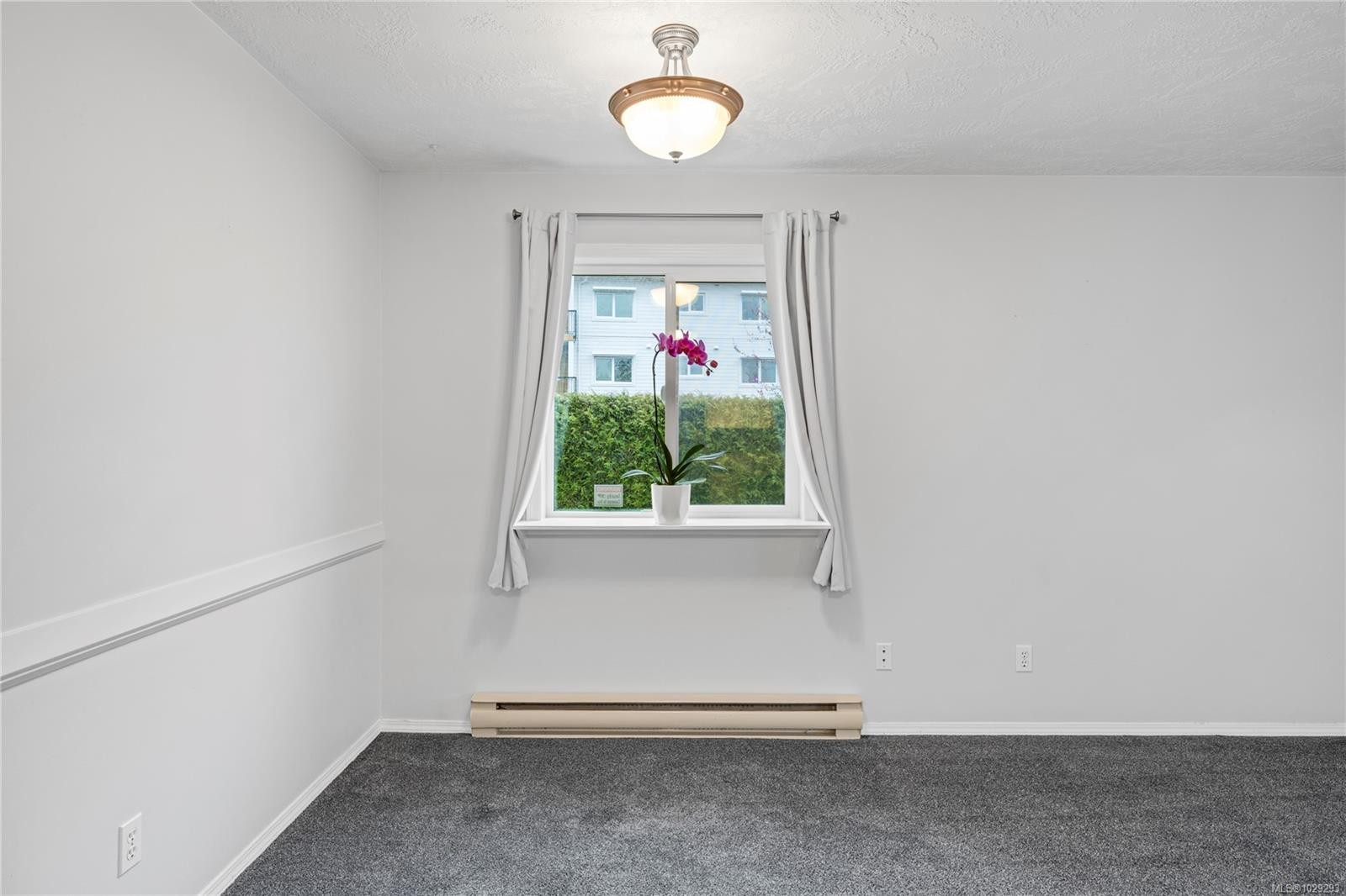 









2191


Murrelet

Dr, 125,
Comox,




BC
V9M 3Y1

