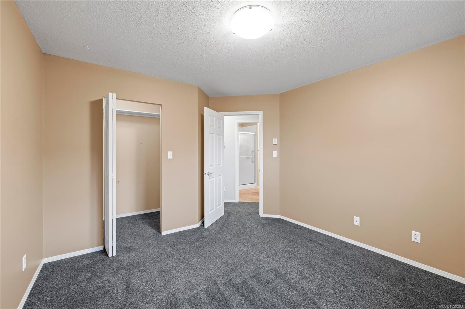 









2191


Murrelet

Dr, 125,
Comox,




BC
V9M 3Y1

