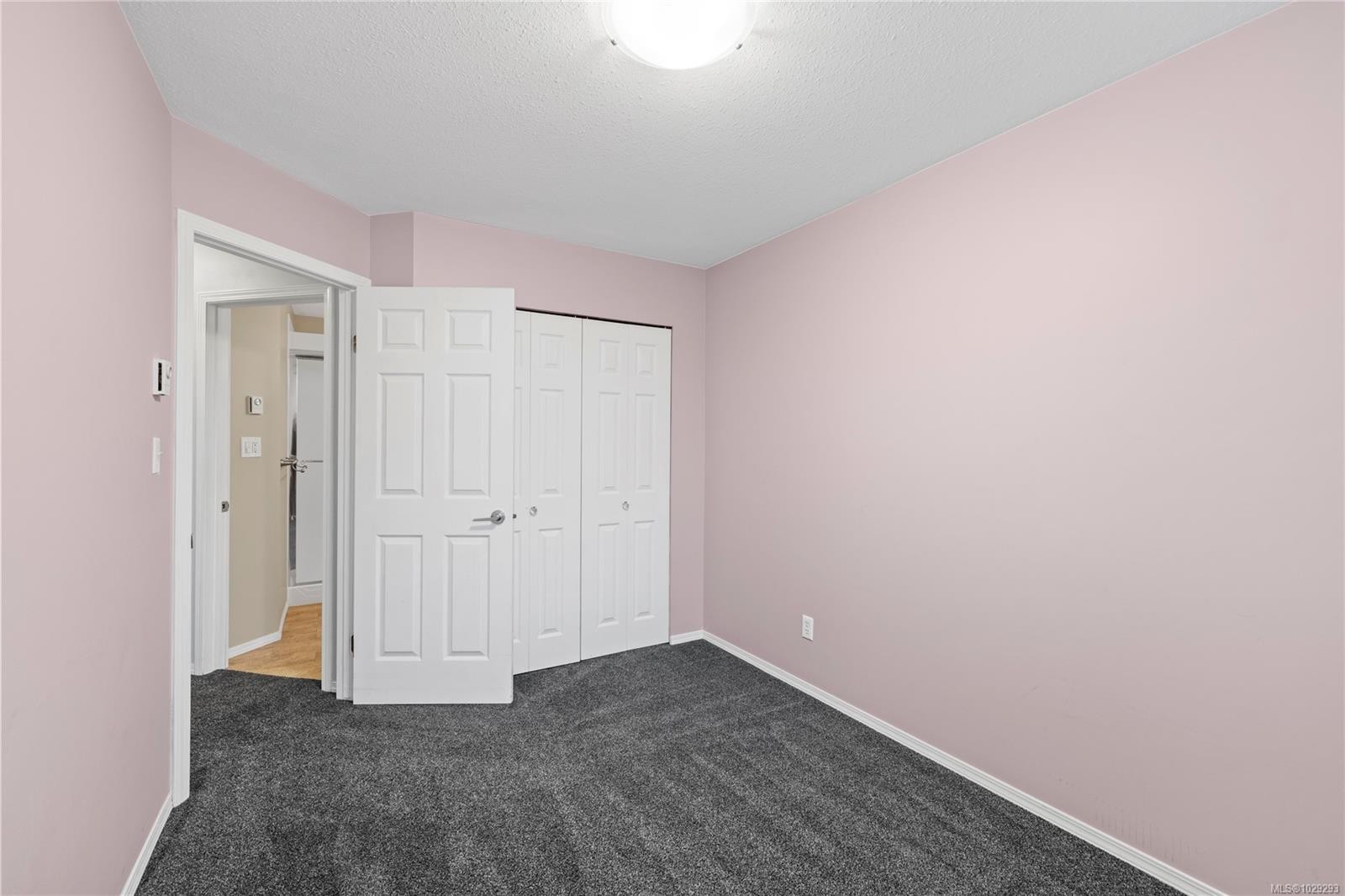 









2191


Murrelet

Dr, 125,
Comox,




BC
V9M 3Y1

