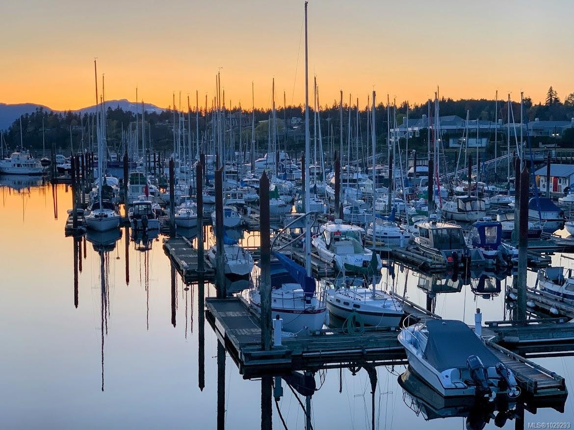 









2191


Murrelet

Dr, 125,
Comox,




BC
V9M 3Y1

