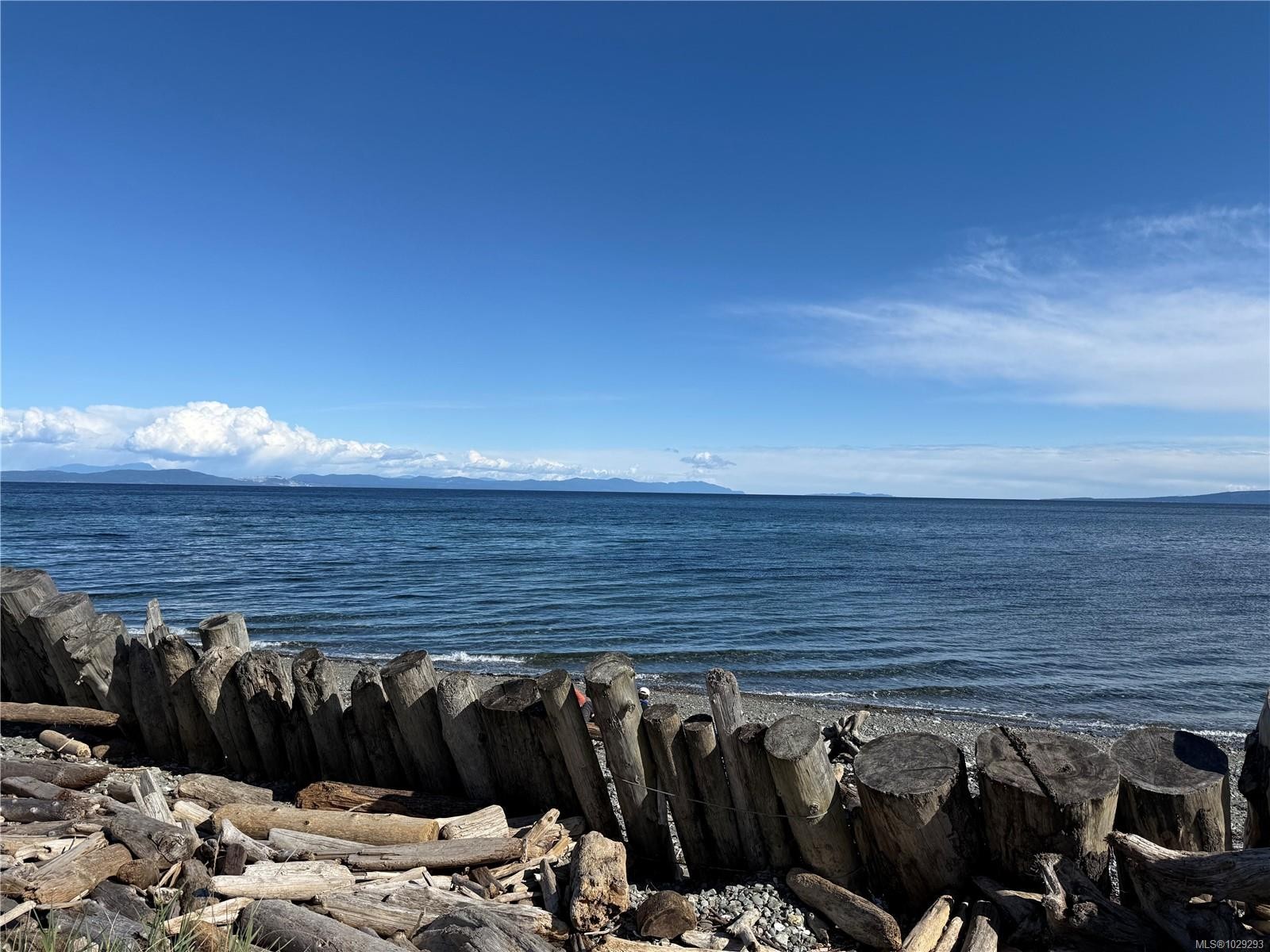 









2191


Murrelet

Dr, 125,
Comox,




BC
V9M 3Y1

