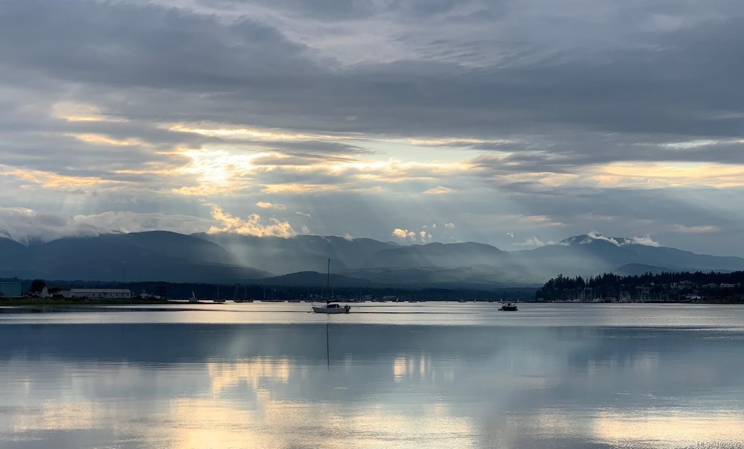 









2191


Murrelet

Dr, 125,
Comox,




BC
V9M 3Y1


