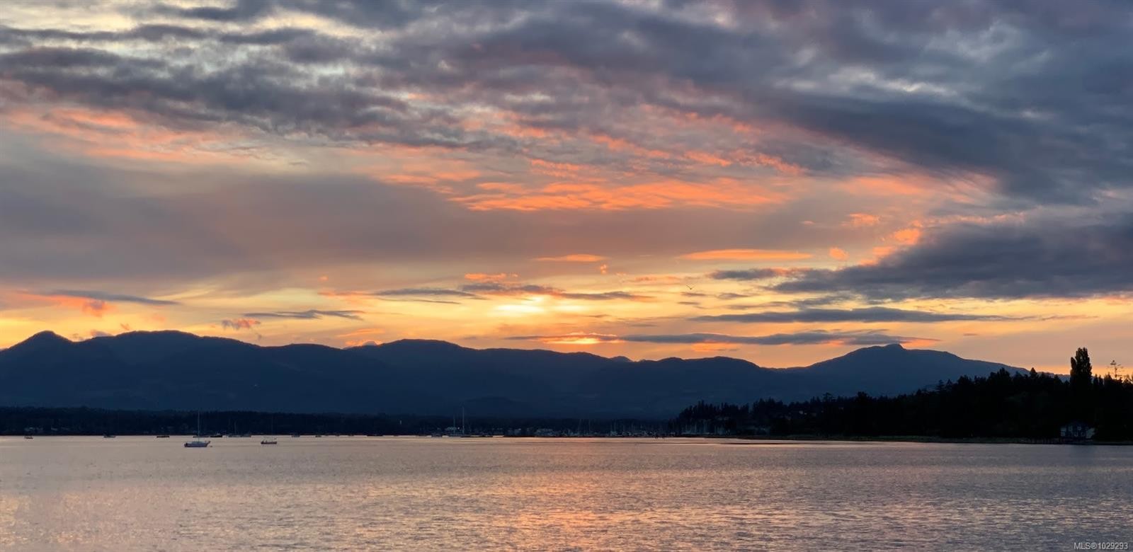 









2191


Murrelet

Dr, 125,
Comox,




BC
V9M 3Y1

