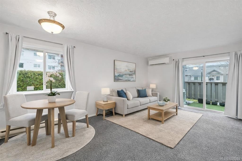 









2191


Murrelet

Dr, 125,
Comox,




BC
V9M 3Y1

