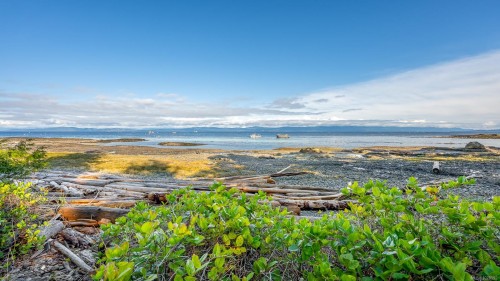 Featured Listing Photo 
