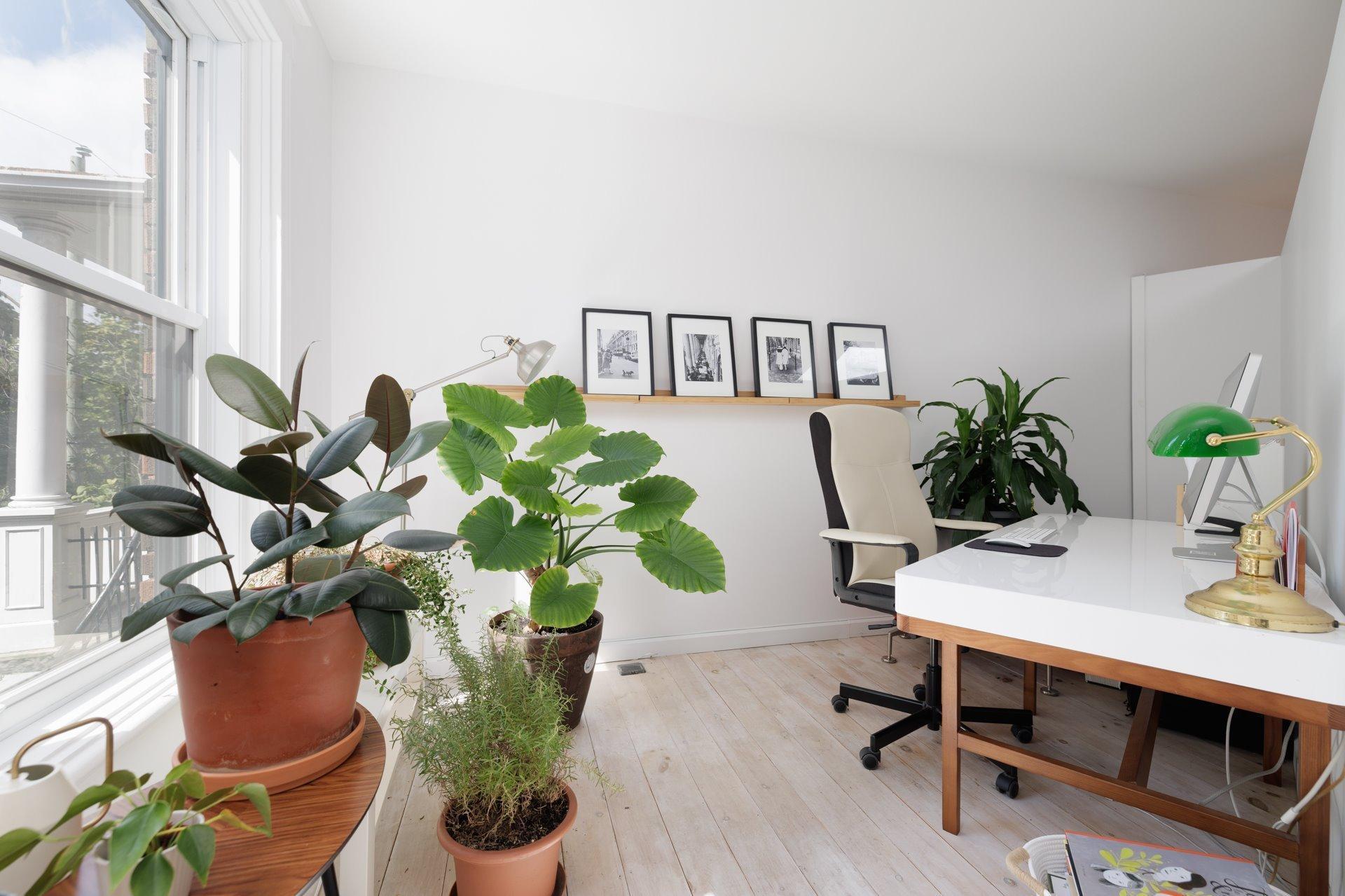 









6891


Rue Chambord

,
Montréal (Rosemont/La Petite-Patrie),




QC
H2G3C2

