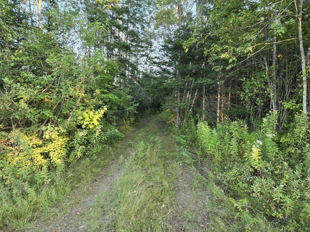 












Union 1 Road Greenfield

,
Greenfield,







NS
B6L 4L8

