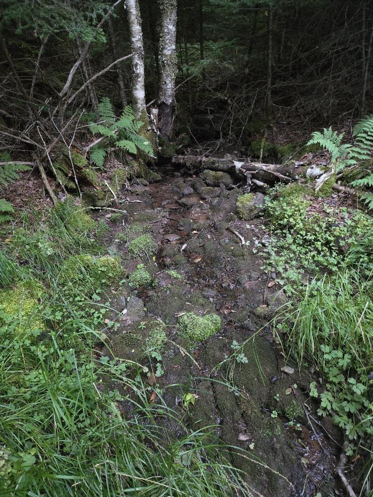 












Union 1 Road Greenfield

,
Greenfield,







NS
B6L 4L8

