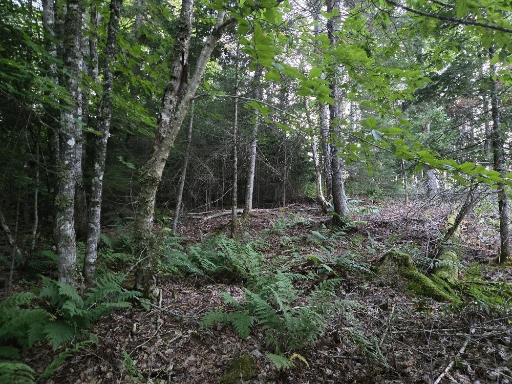 












Union 1 Road Greenfield

,
Greenfield,







NS
B6L 4L8

