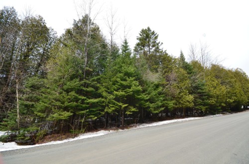 Photo de l'inscription vedette 