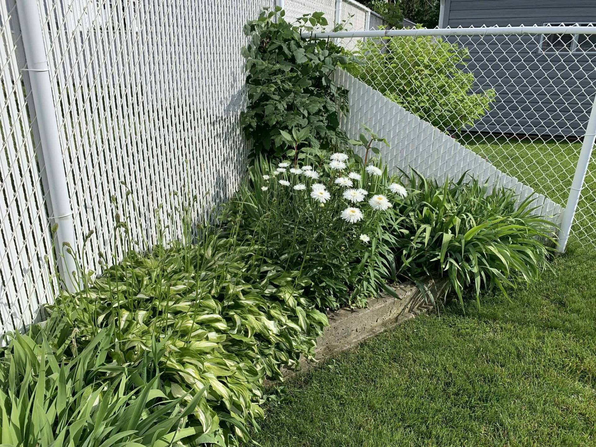 









1365


Place Alfred-DesRochers

,
Sainte-Catherine,




QC
J5C1E3

