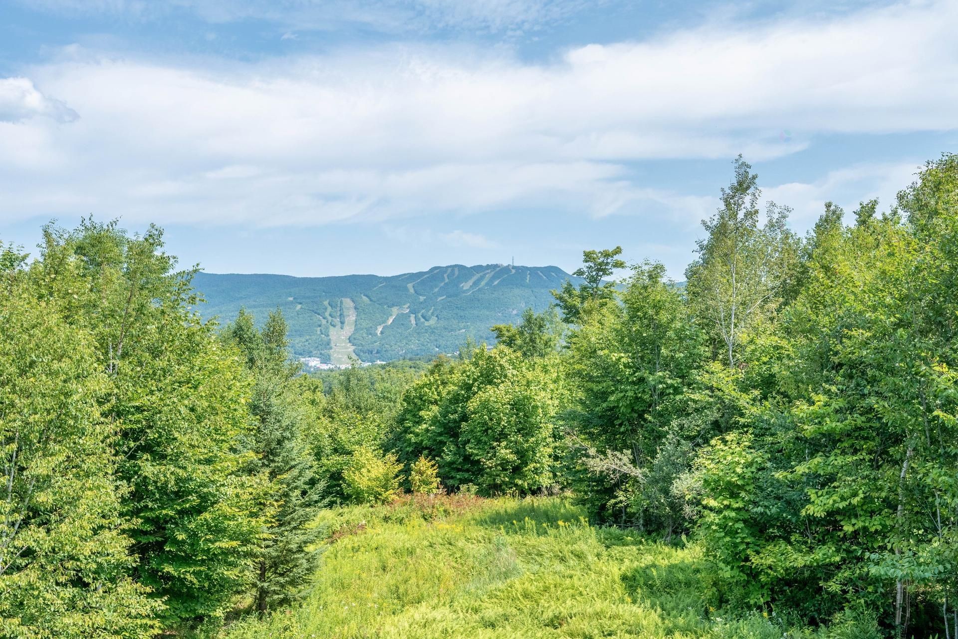 









225


Rue du Mont-Plaisant

, 7,
Mont-Tremblant,




QC
J8E1L2

