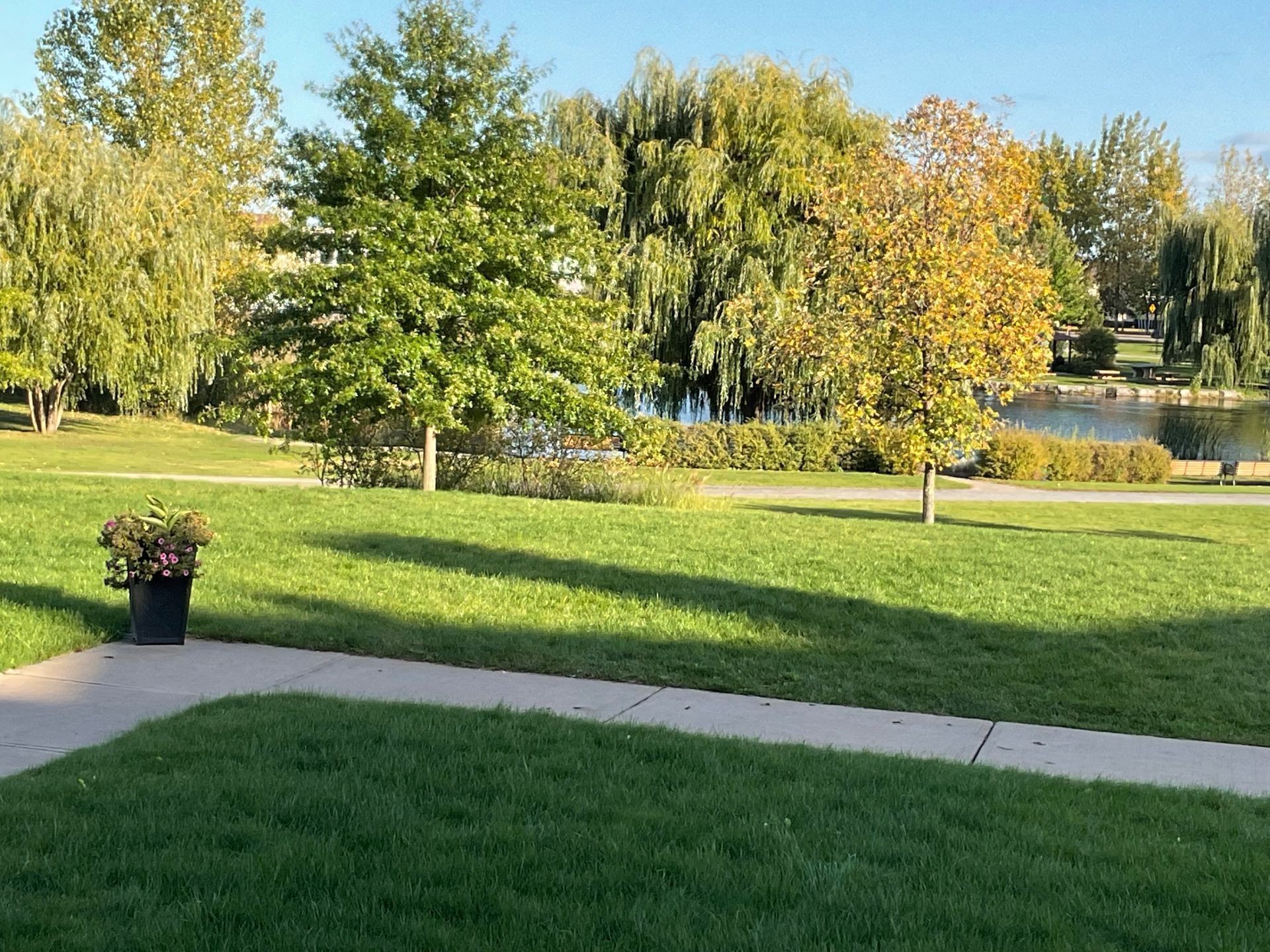 









390


Place du Louvre

, 103,
Mascouche,




QC
J7K0T2

