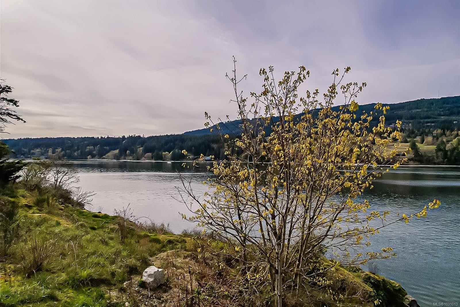 









111


Morningside

Rd,
Salt Spring,







BC
V8K 1X1

