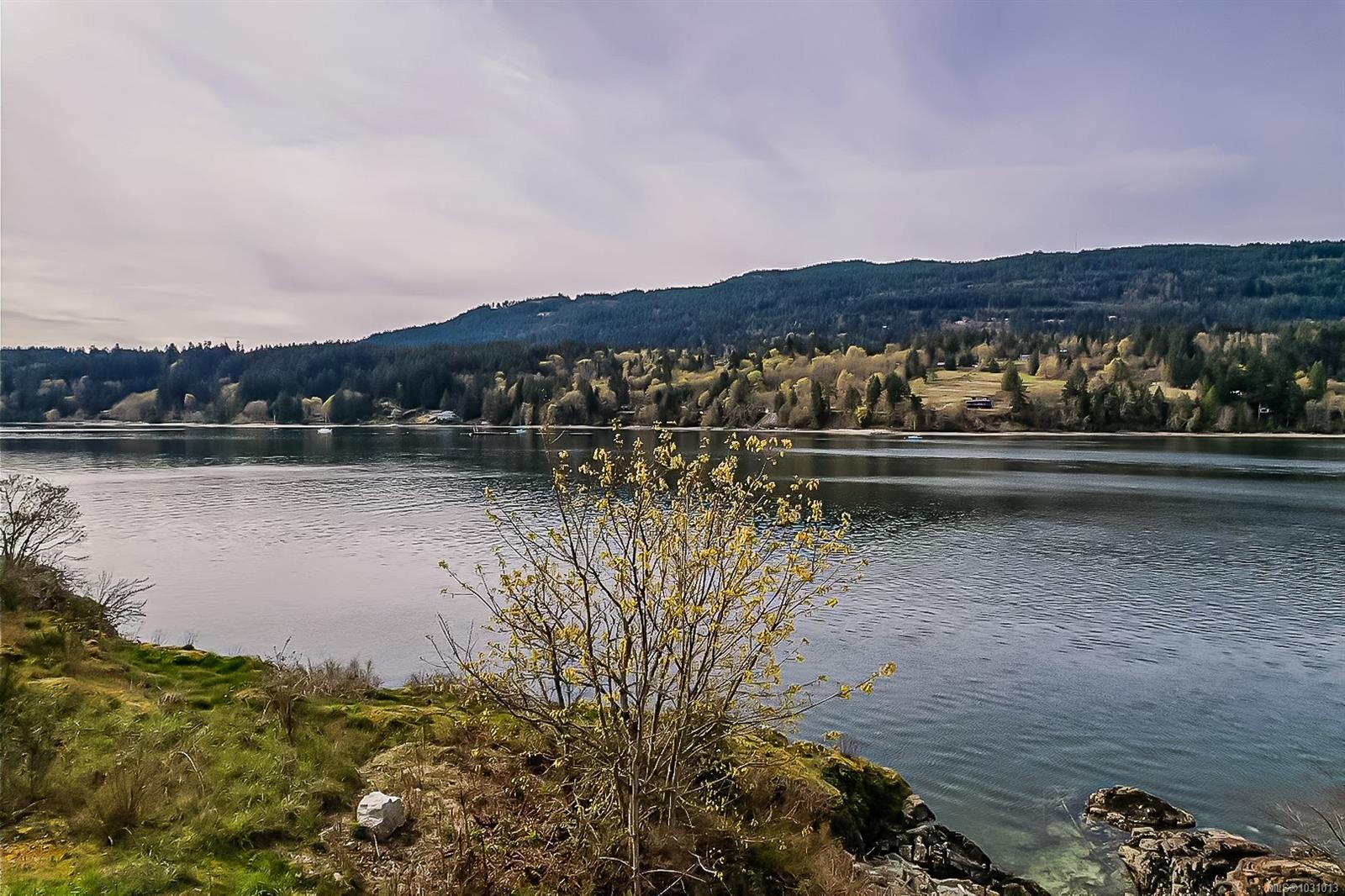 









111


Morningside

Rd,
Salt Spring,







BC
V8K 1X1

