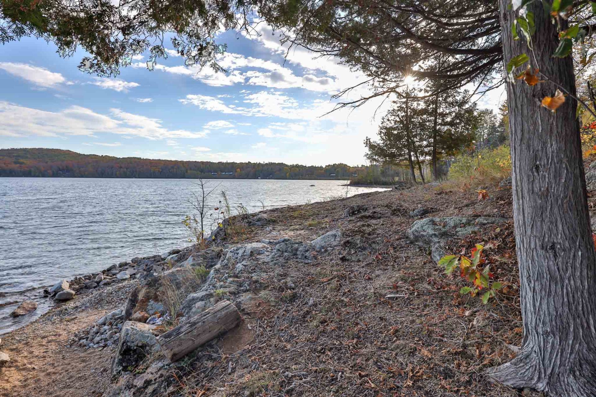 









12


Ch. de la Grange

,
Sainte-Thérèse-de-la-Gatineau,




QC
J0X2X0

