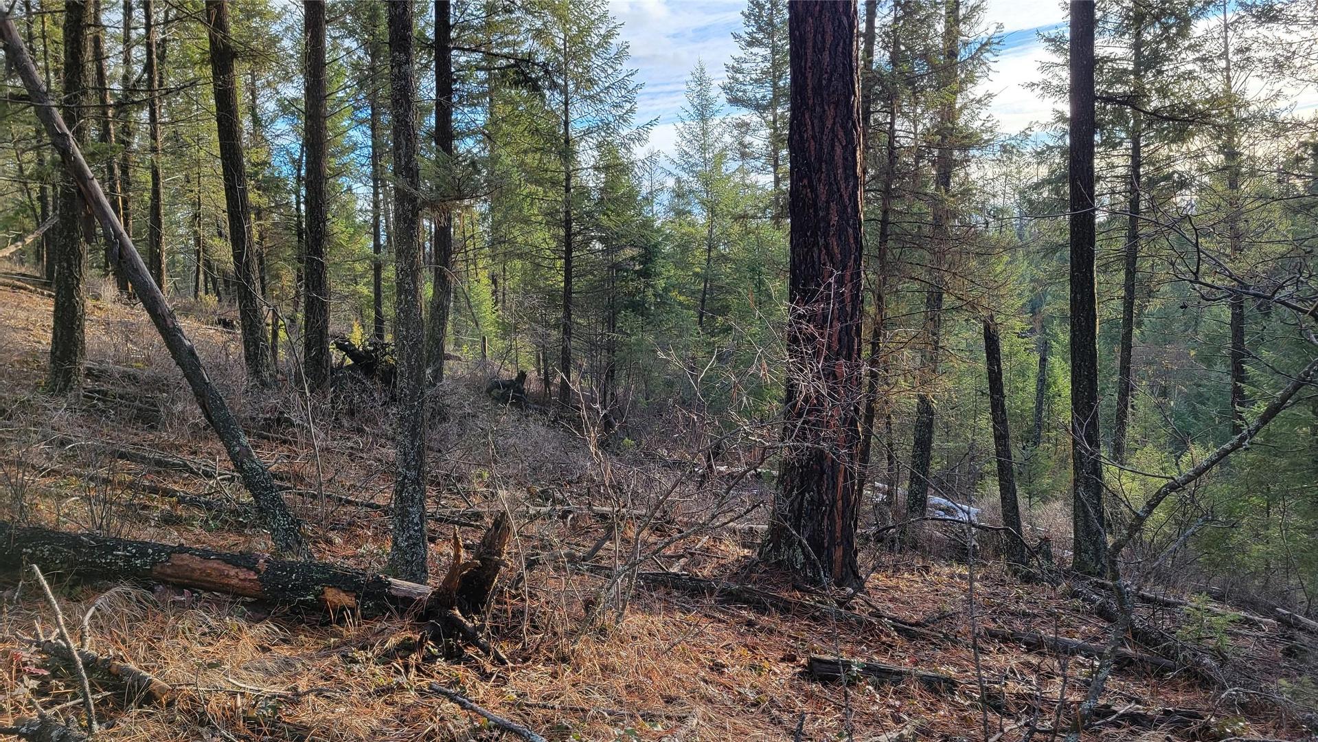 












Rosen Heights

Road,
Jaffray,







BC
V0B 1T0

