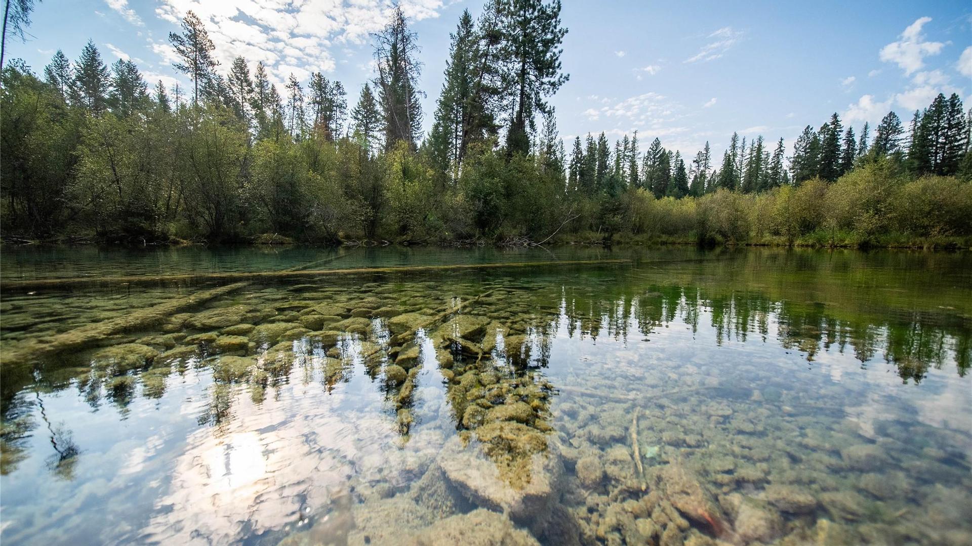 









2870


Rosen Heights

Road,
Jaffray,




BC
V0B 1T0

