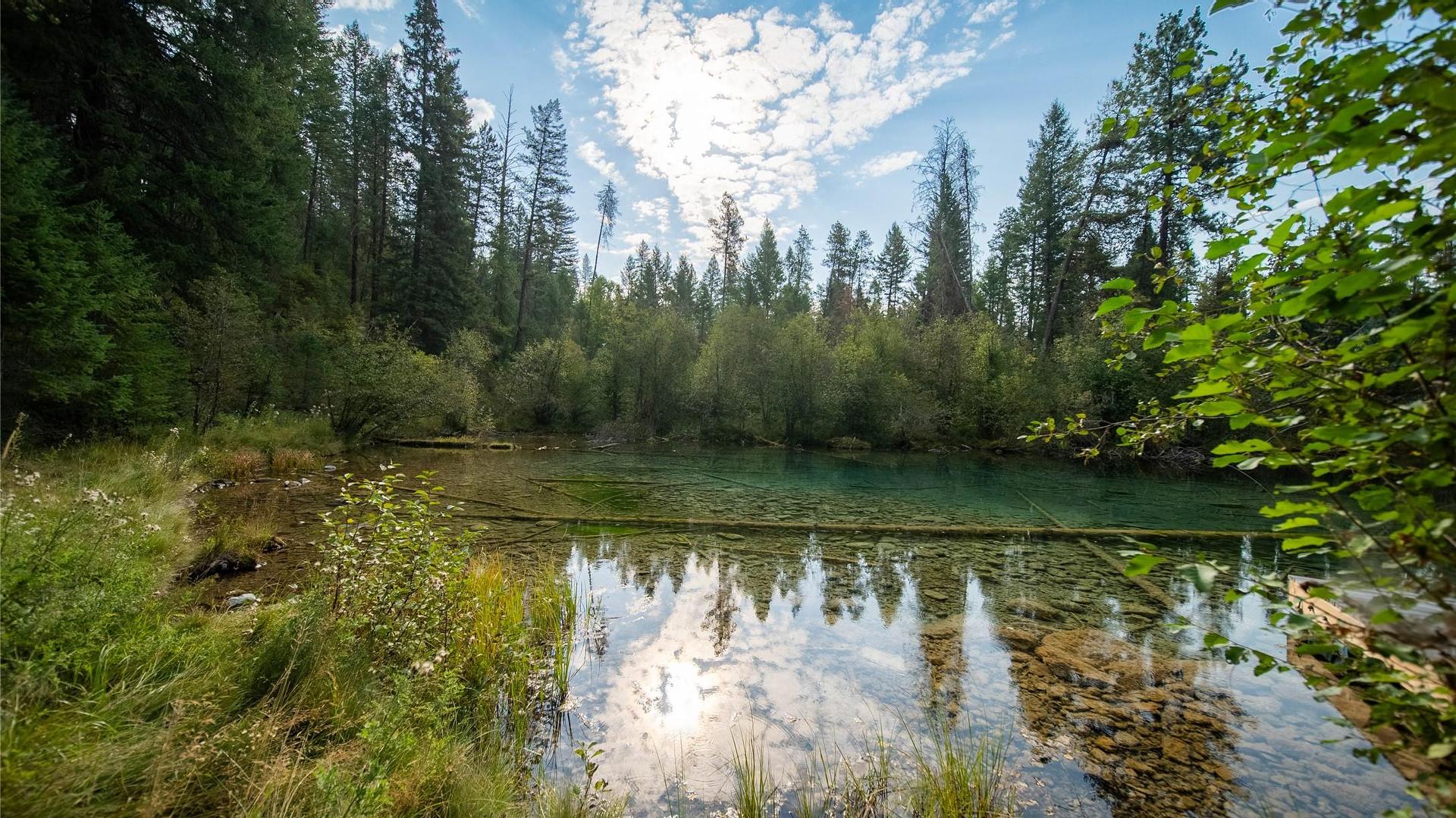 









2870


Rosen Heights

Road,
Jaffray,




BC
V0B 1T0

