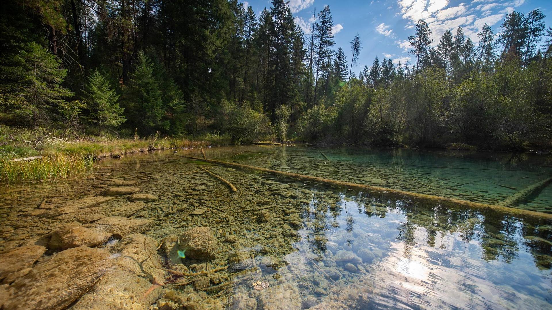









2870


Rosen Heights

Road,
Jaffray,




BC
V0B 1T0

