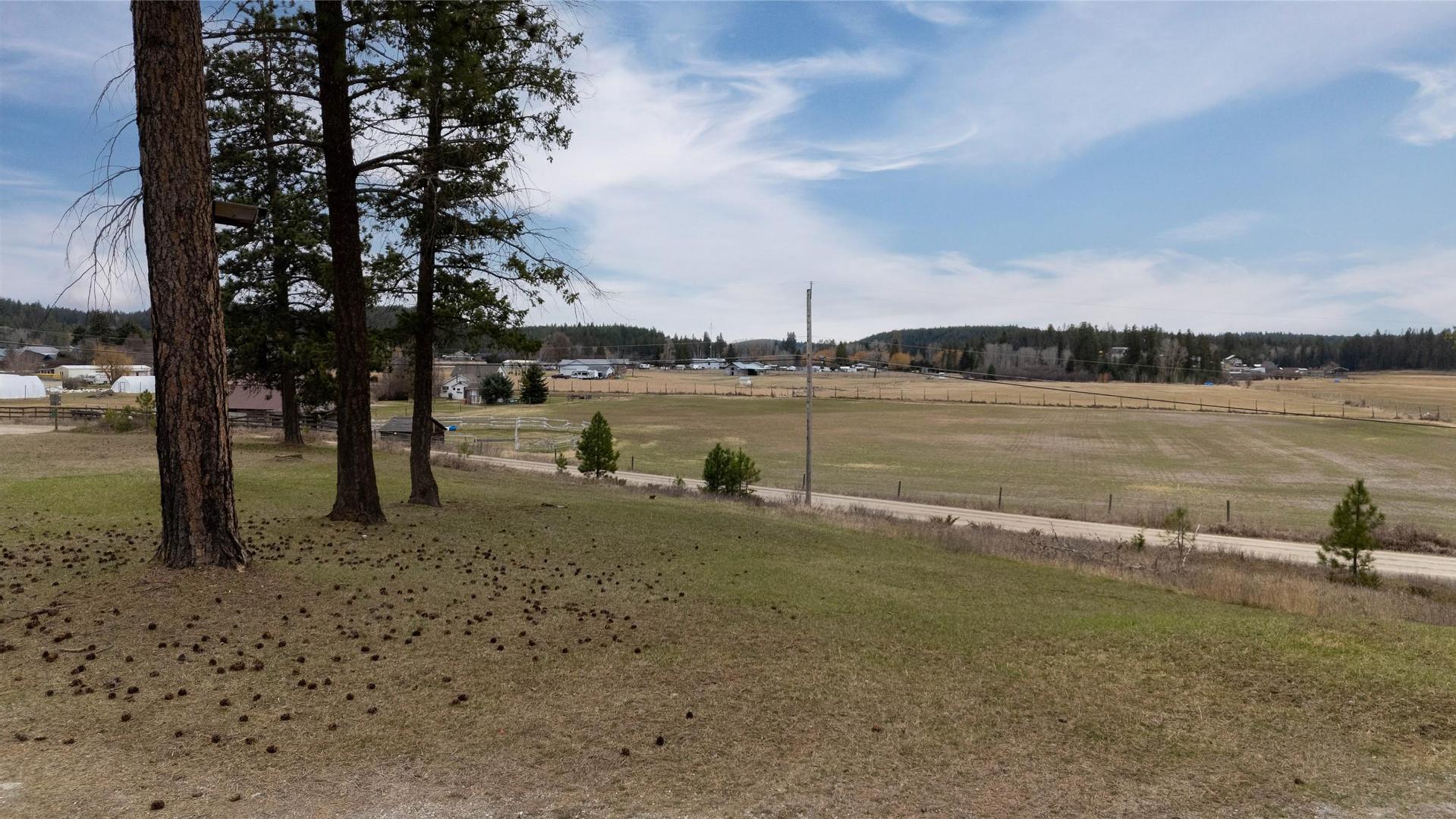 









1775


Shelbourne

Road,
Jaffray,




BC
V0B 1T0

