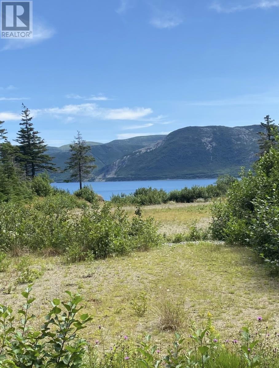 












45 Main Road

,
York Harbour,







Newfoundland & Labrador
A0L1L0

