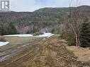 View from back of lot, facing the road/lot entrance.