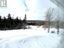 Primary Bedroom View