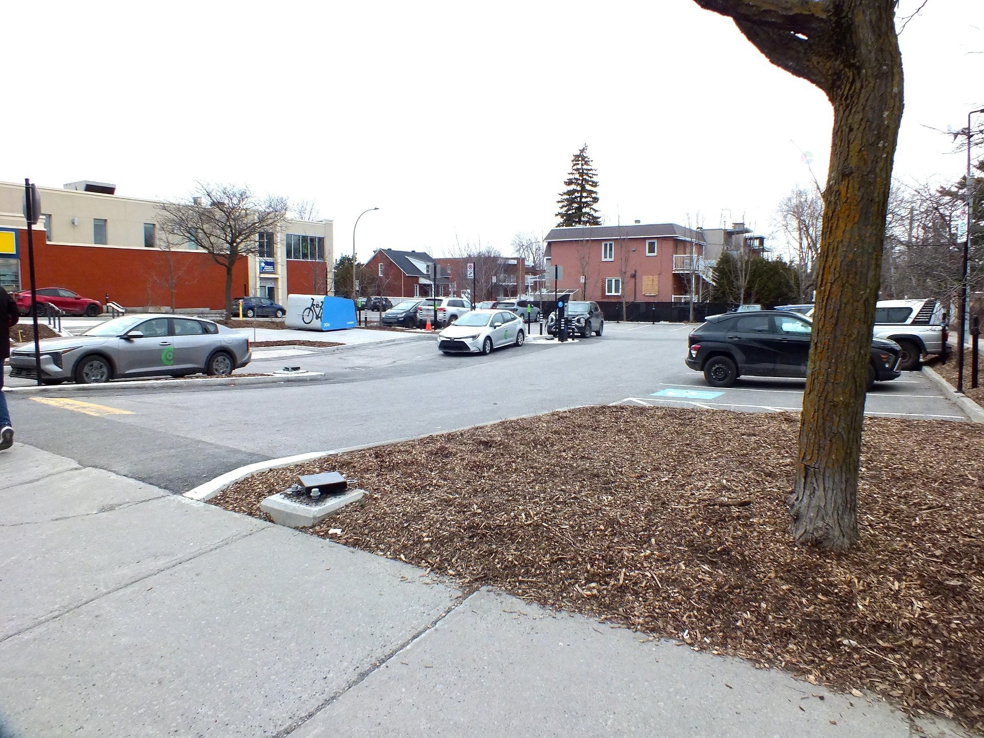 









1310


Rue Fleury E.

,
Montréal (Ahuntsic-Cartierville),




QC
H2C1R3

