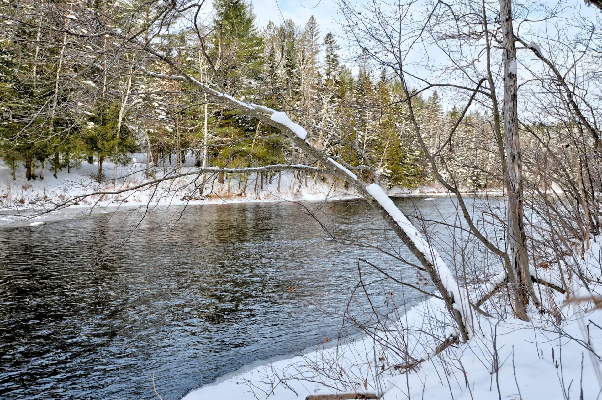 









50


Rue des Cougars

,
Saint-Côme,




QC
J0K2B0


