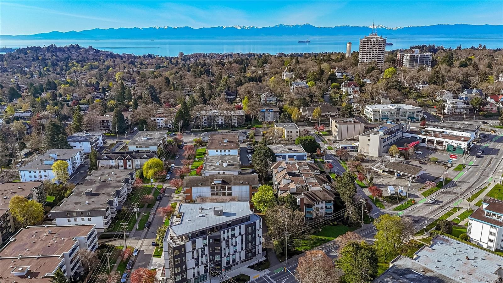 









1619


Morrison

St, 106,
Victoria,




BC
V8R 6R8

