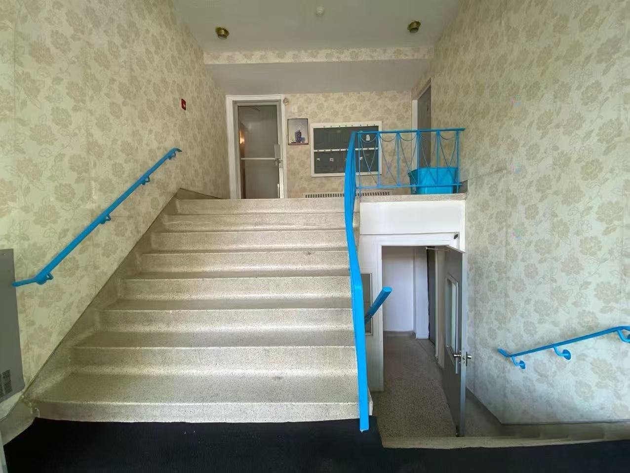 









3495


Rue Dézéry

,
Montréal (Rosemont/La Petite-Patrie),




QC
H1W2S8

