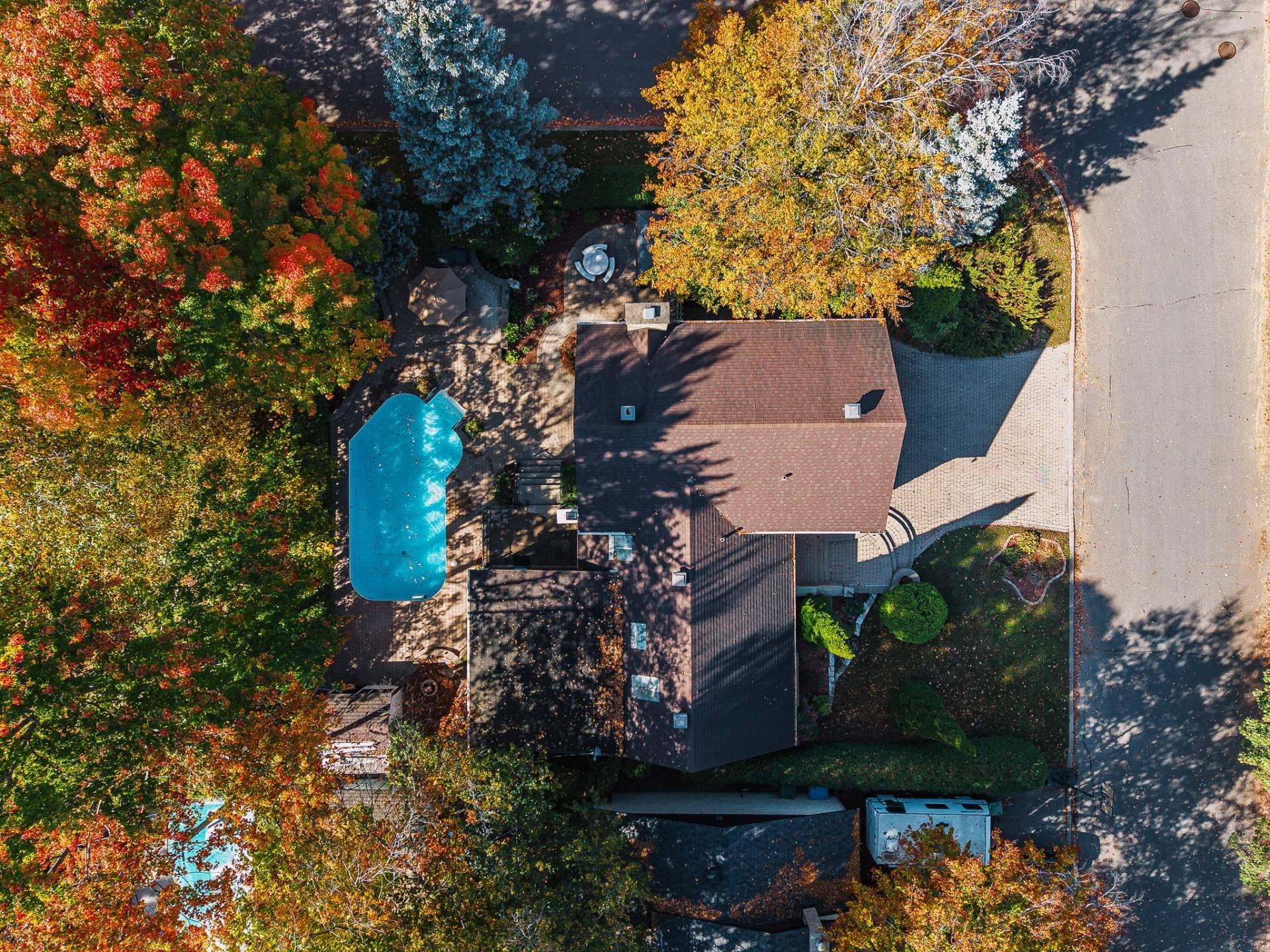 









234


Rue Plamondon

,
Repentigny (Repentigny),




QC
J6A7E4

