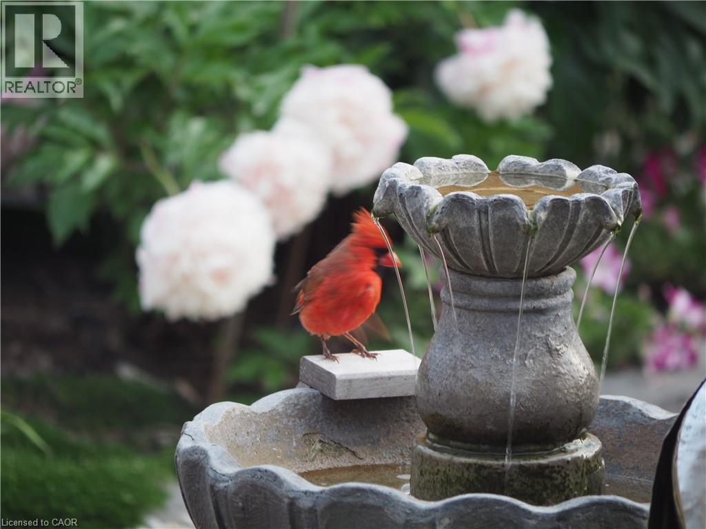 












130 COOPERSHAWK Street

,
Kitchener,




Ontario
N2K4J3

