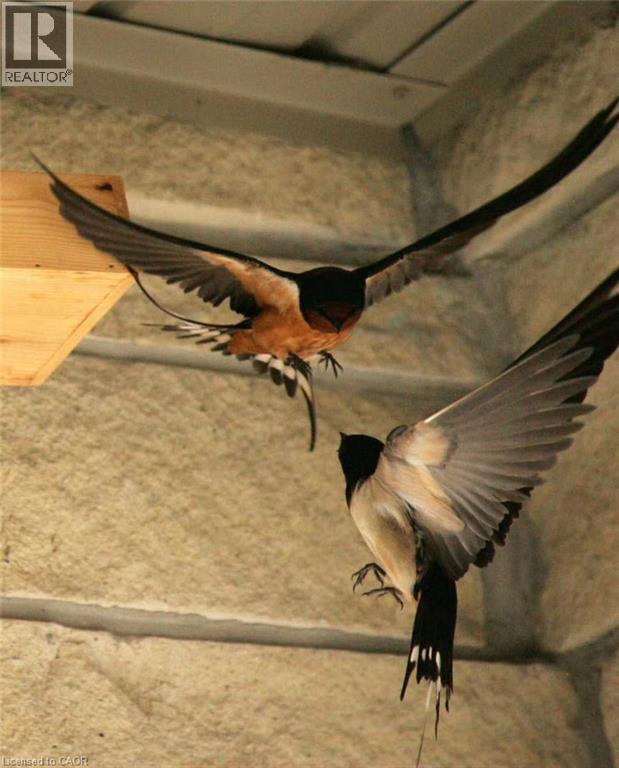 












130 COOPERSHAWK Street

,
Kitchener,




Ontario
N2K4J3

