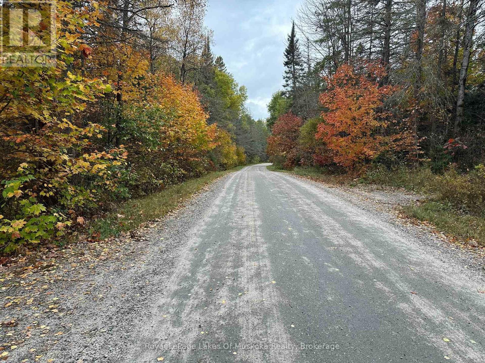 












77 GRINDSTONE ROAD

,
Magnetawan,




Ontario
P0A1Z0

