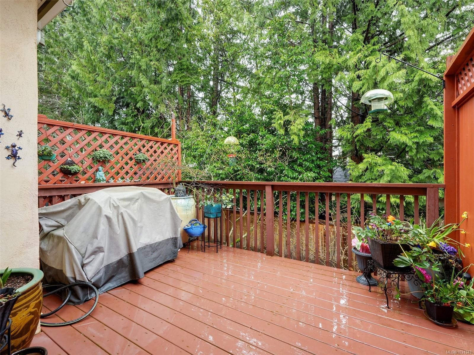 









4560


West Saanich

Rd, 19,
Saanich,




BC
V8Z 3G4

