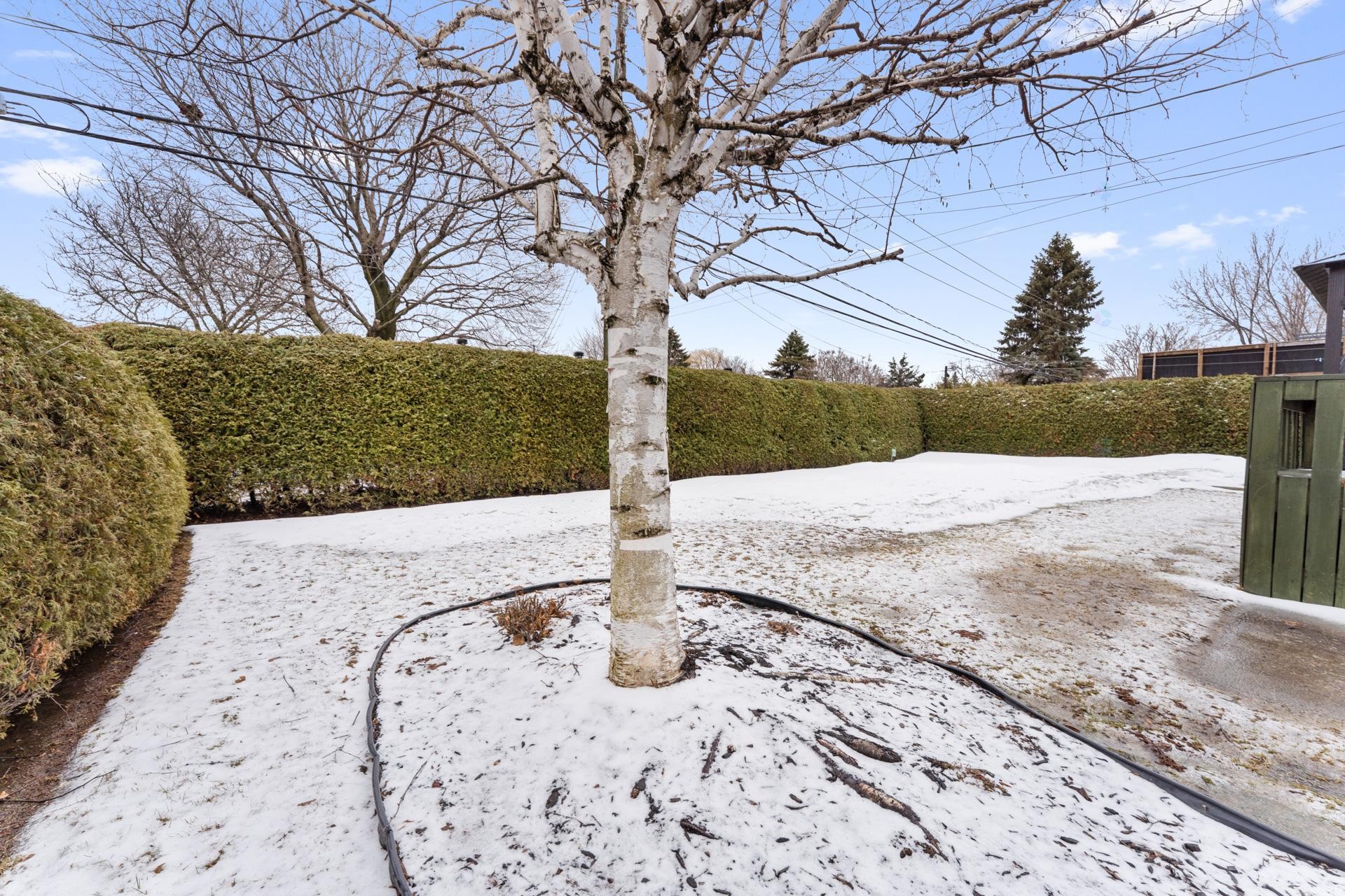 









142


Rue Minerve

,
Repentigny (Repentigny),




QC
J6A6L5

