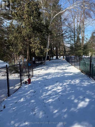 Private Rear Yard