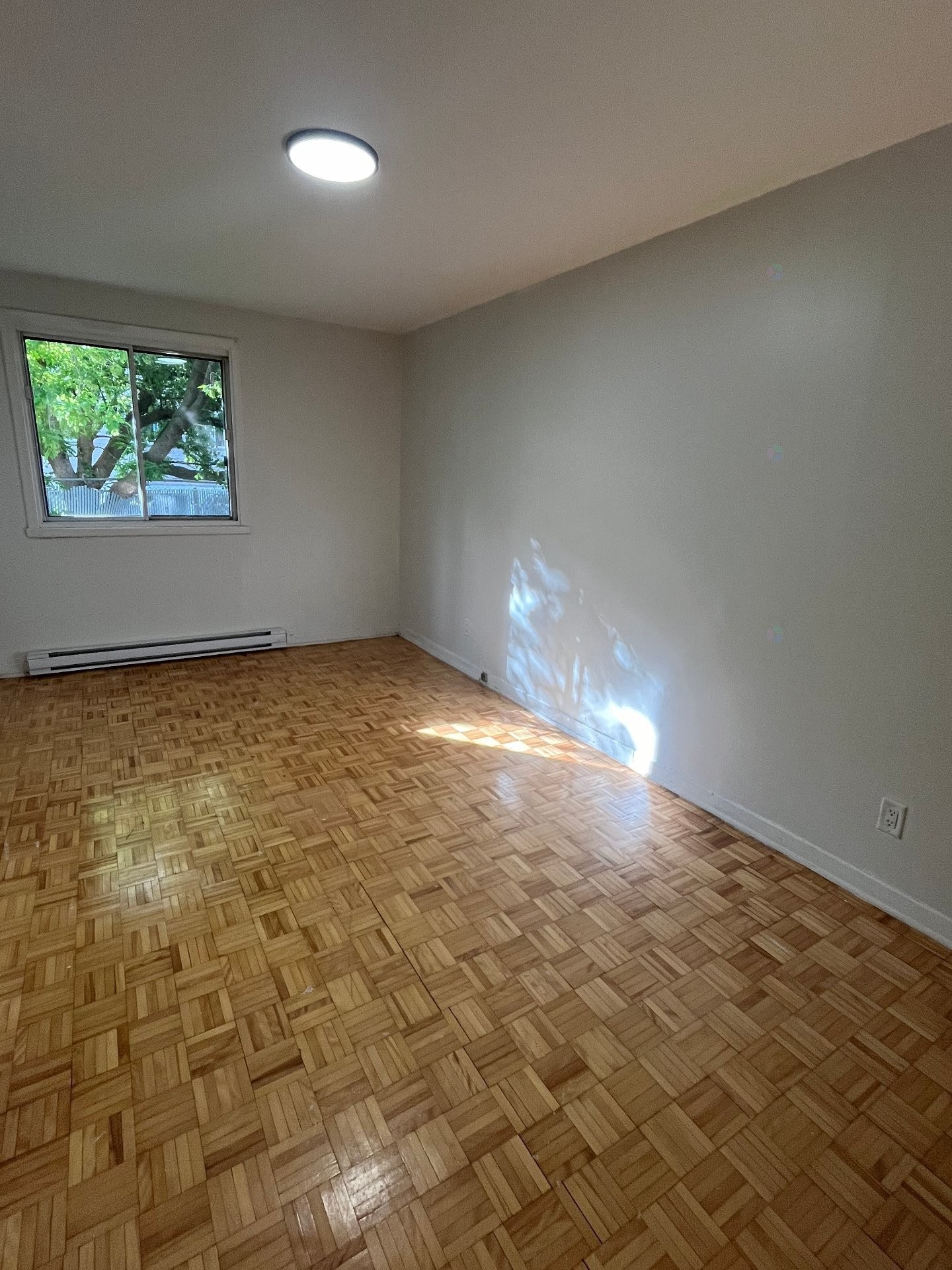 









216


Rue Lawrence

, 114,
Longueuil (Greenfield Park),




QC
J4V1Z1

