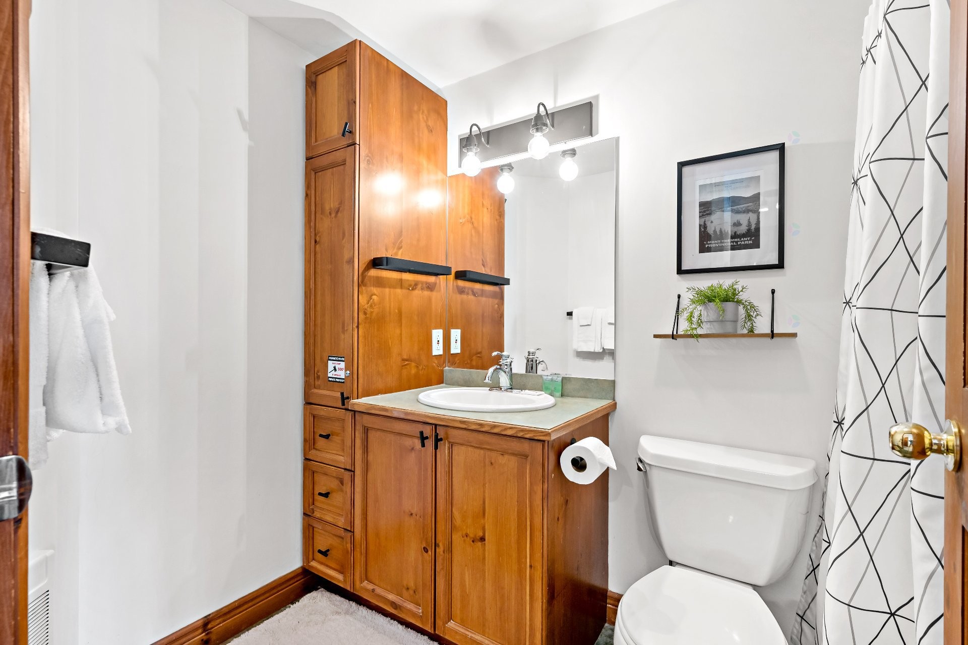 









205


Rue du Mont-Plaisant

, 3,
Mont-Tremblant,




QC
J8E1L2


