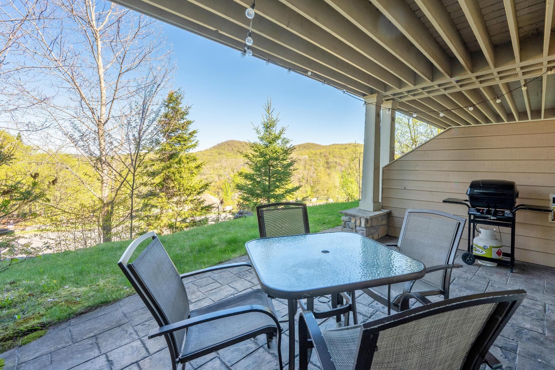 









205


Rue du Mont-Plaisant

, 3,
Mont-Tremblant,




QC
J8E1L2

