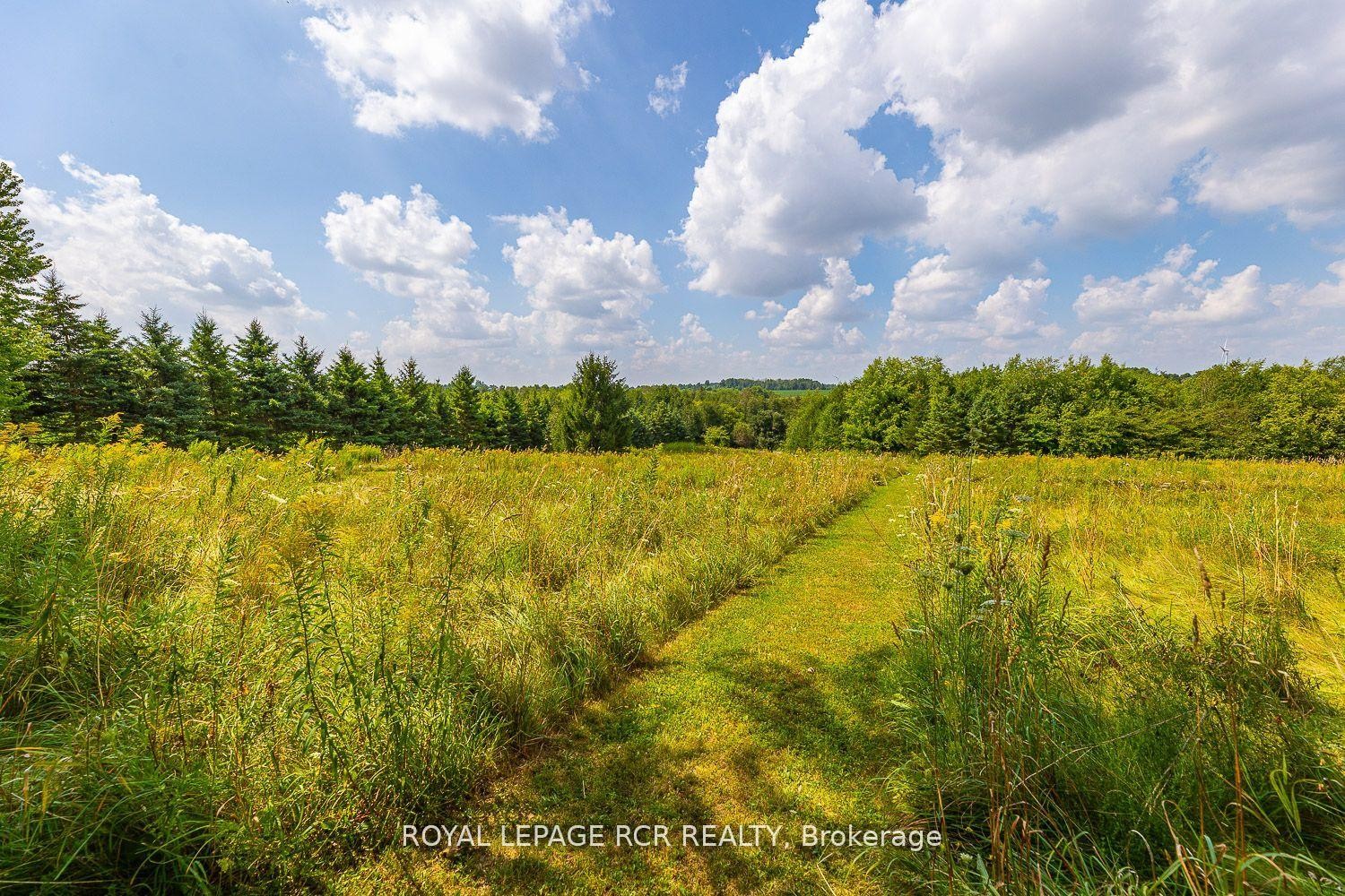 









282398


County Rd 10

Road,
East Luther Grand Valley,




ON
L9W 0W6

