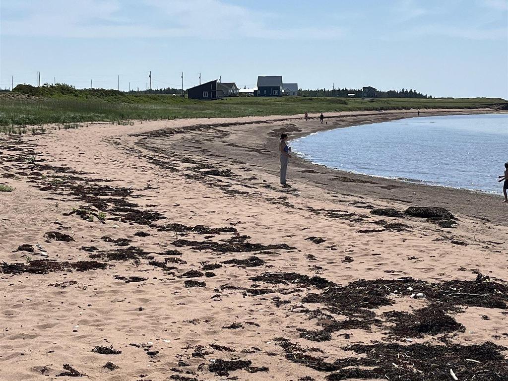 












Lot 1 Factory Road

,
Belle River,







PE
C0A 1B0

