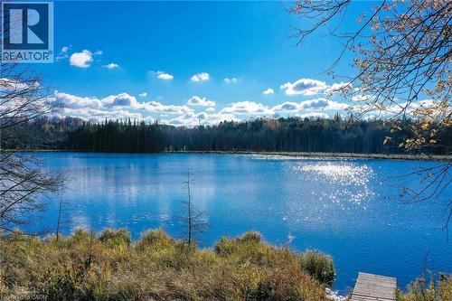 Water view with a heavily wooded area