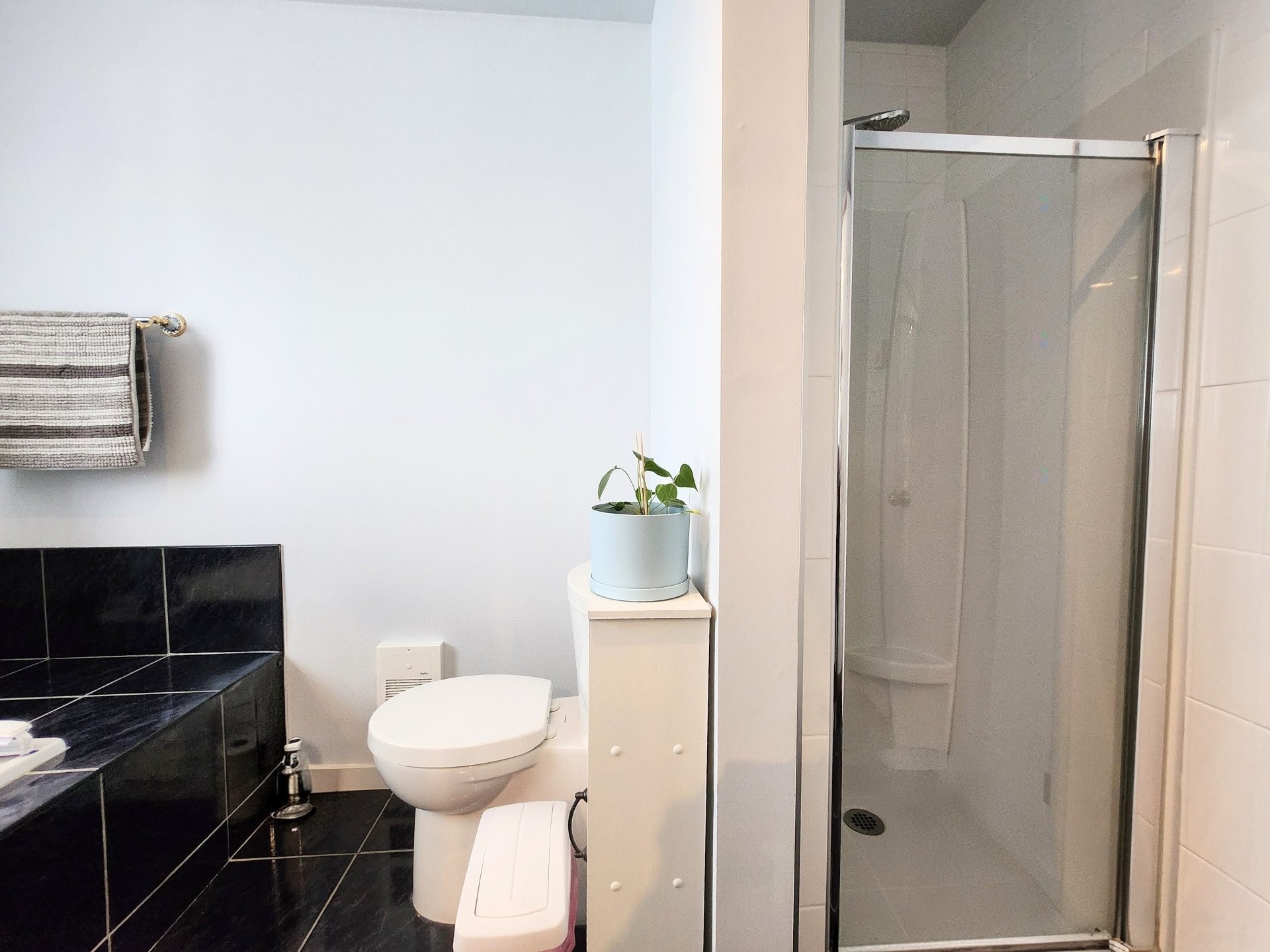 









3875


Rue Philibert-Dumas

,
Shawinigan,




QC
G9P5E6

